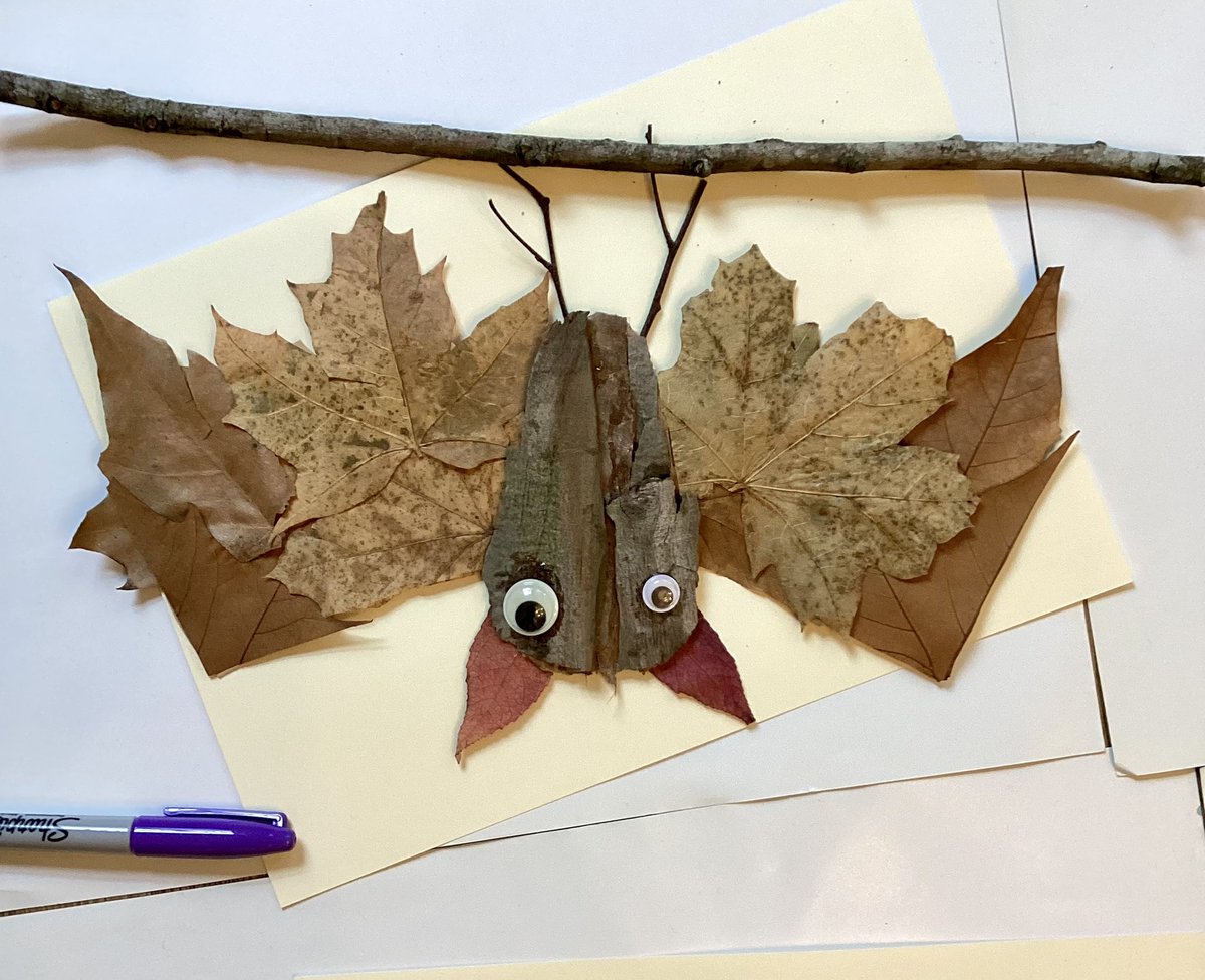 yuvalzommer's tweet photo. ‘Nature Bats’: using twigs, leaves and tree bark 🦇
#30DaysWild #EveryChildIsSnArtist #NatureArt #recyclecraftcreate
#TheBigBookOfBeasts https://t.co/d8fIE9L0RR