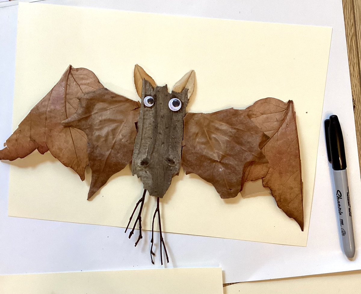 yuvalzommer's tweet photo. ‘Nature Bats’: using twigs, leaves and tree bark 🦇
#30DaysWild #EveryChildIsSnArtist #NatureArt #recyclecraftcreate
#TheBigBookOfBeasts https://t.co/d8fIE9L0RR