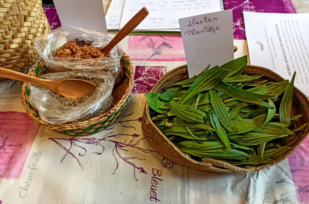 ParcRuralM's tweet photo. T'agradaria tenir la teva pròpia sal feta amb herbes mediterrànies del #ParcRuralMontserrat? Dissabte vine a aquesta activitat familiar i millora la teva salut i la dels teus!
📍 Mercat Origen (Olesa de Montserrat)
📅2 juliol
🕚11h
#Olesa #Remeis https://t.co/aU2NWNrE9W