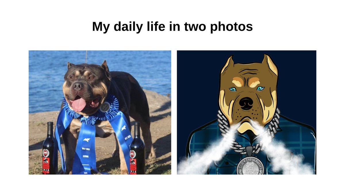 BLOCKCHAINBNFT's tweet photo. #CONTEST 📳

Are You In? Jump into the discord, Ask a #Topdawg for assistance &amp; Go For Gold Bullyvers! Thank you to Everyone who has already participated! Looking forward to seeing more of you #Meme it Up and #Gif it Down. Please Visit Appropriate #channel #Bullyvers in #Discord https://t.co/BOIVxLOQPS