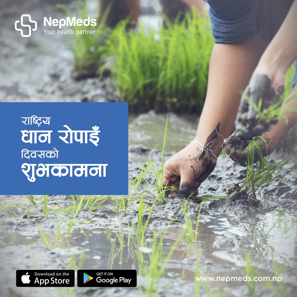 nepmeds's tweet image. असार १५ - राष्ट्रिय धान रोपाइँ दिवसको शुभकामना !

#NepMeds #OnlinePharmacy #OnlineLab