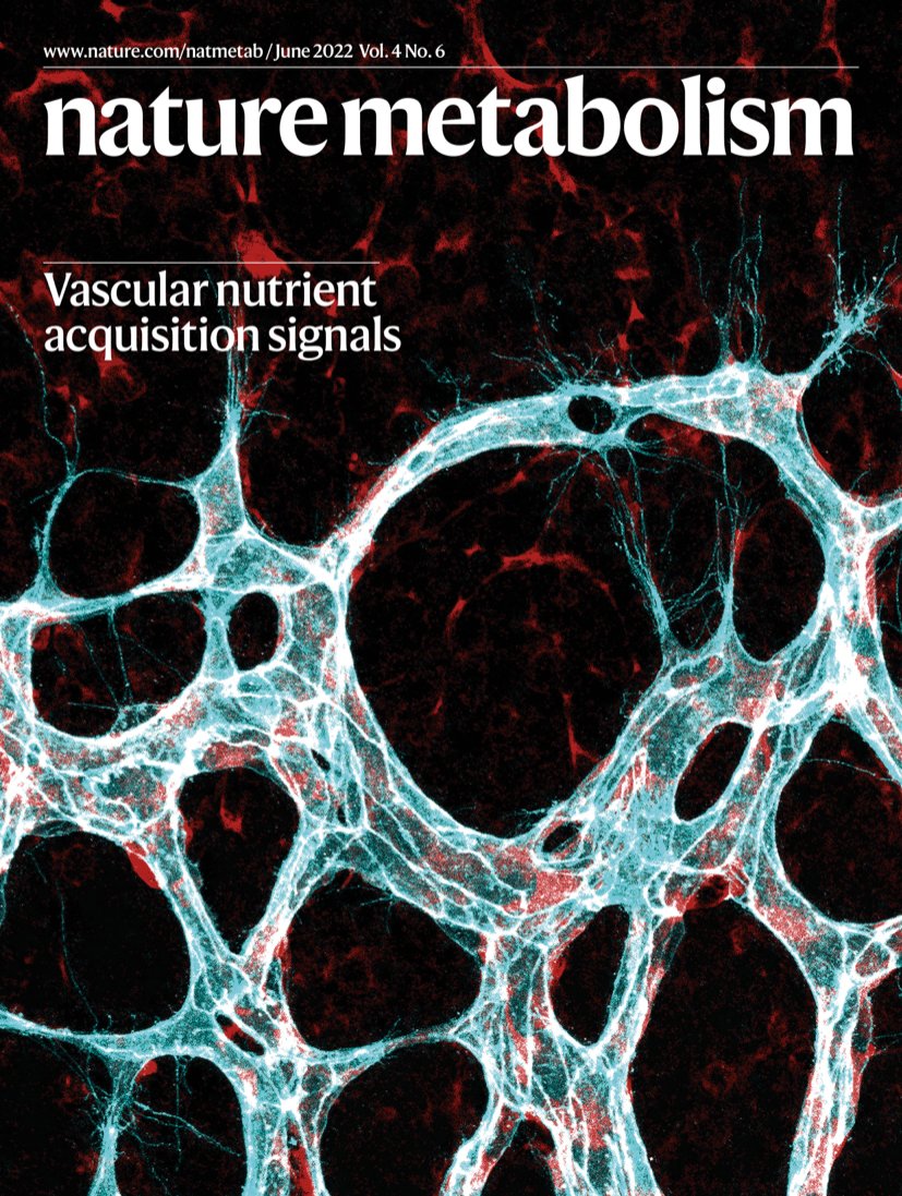🔆JUNE issue🔆 

A nice mix of topics, including angiogenesis (on the cover), several papers on #cancerresearch, BAT &amp; #inflammation, autoimmune diseases, as well as periphery to #brain crosstalk on #feeding behavior. Enjoy!

nature.com/natmetab/volum…