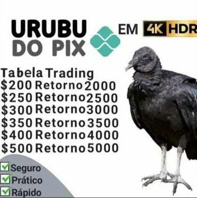 rodolfoEmo's tweet photo. https://t.co/7RoBfFoula