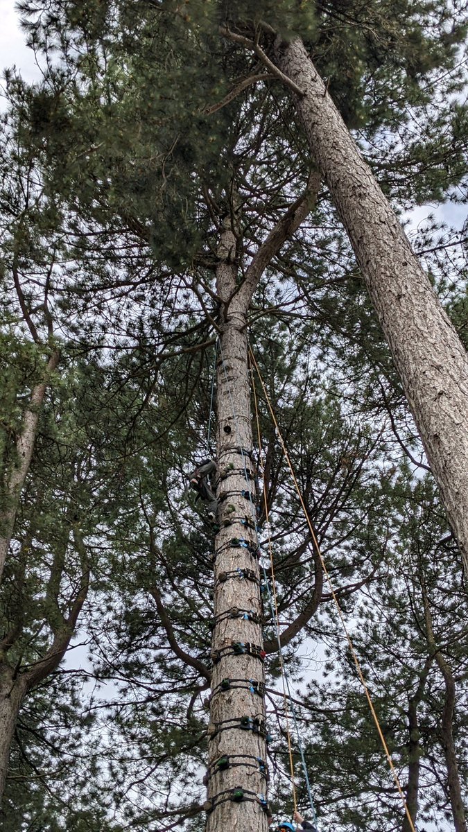 BridgeMalin's tweet photo. Spot the daredevils!,🙈 https://t.co/qZIK68uLJW
