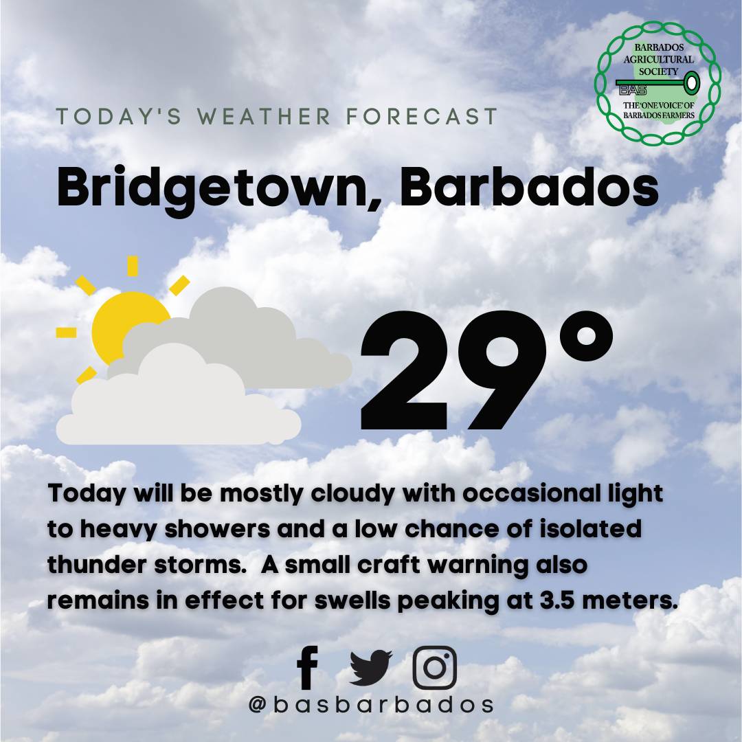 basbarbados's tweet photo. Barbados is in for a rainy night, according to the Barbados Meteorological Services (BMS).  #basbarbados https://t.co/X5SbJLCl6K