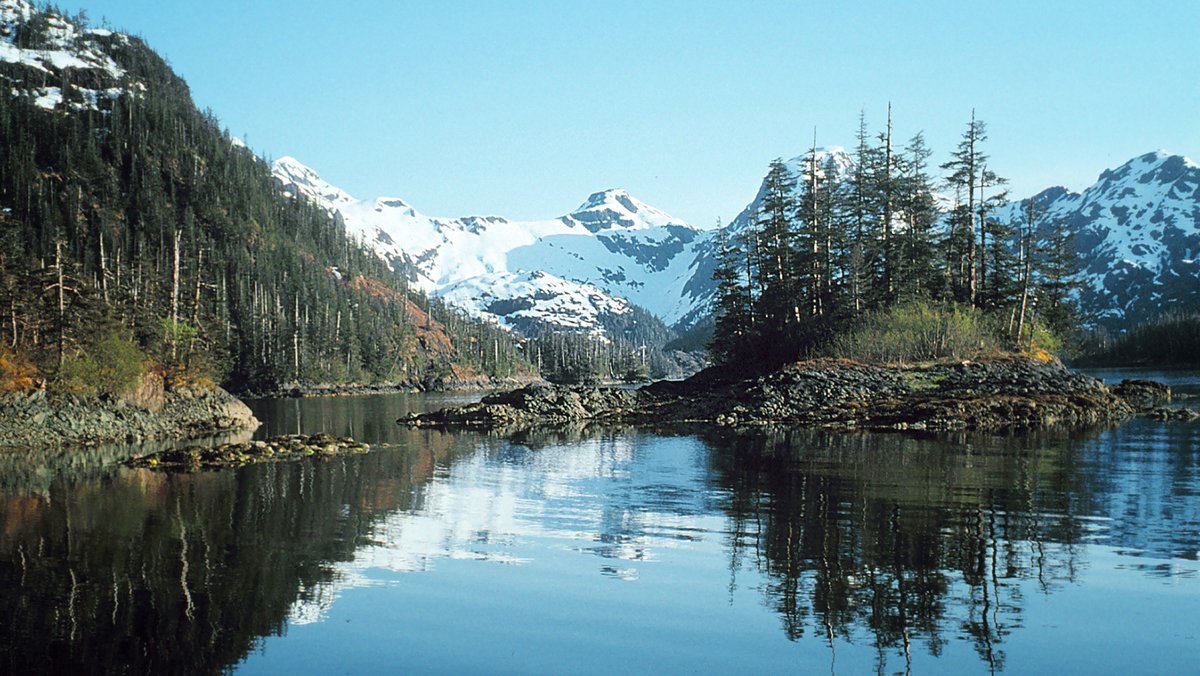 NOAA Fisheries AK tweet media