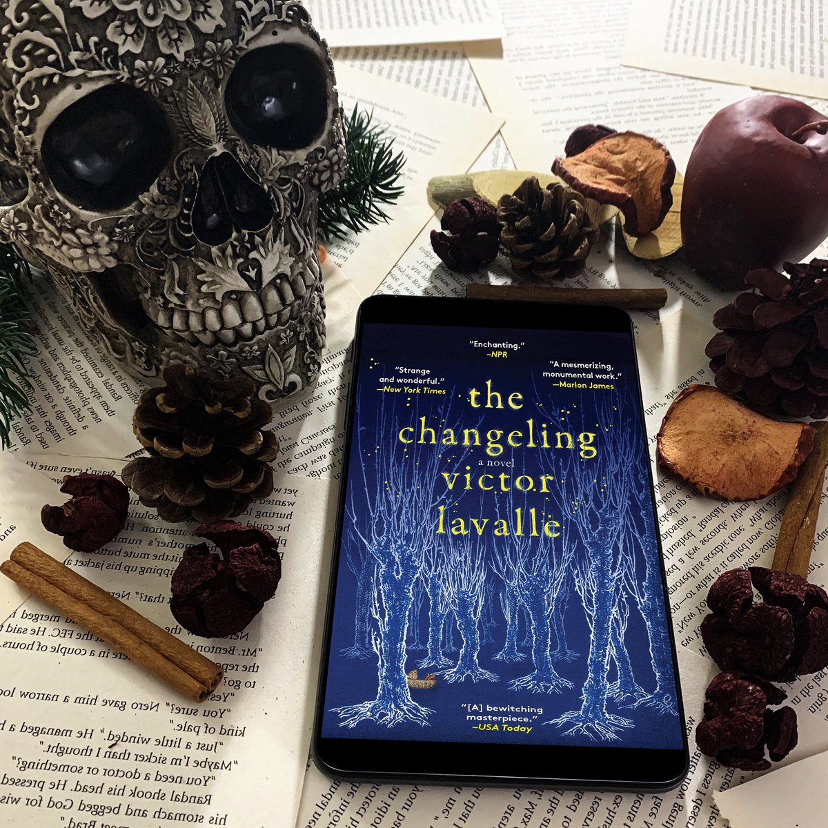 word_wandering's tweet photo. #BookReview
ʙᴏᴏᴋ: The Changeling
ᴀᴜᴛʜᴏʀ: Victor LaValle
ᴘᴀɢᴇs: 431

I’m here to yell: EVERYONE GO READ THIS BOOK!!!!!!!!!!!!

ʀᴀᴛɪɴɢ: 🌟🌟🌟🌟🌟

@victorlavalle
@SPIEGELandGRAU https://t.co/VQ9kXas0Dg