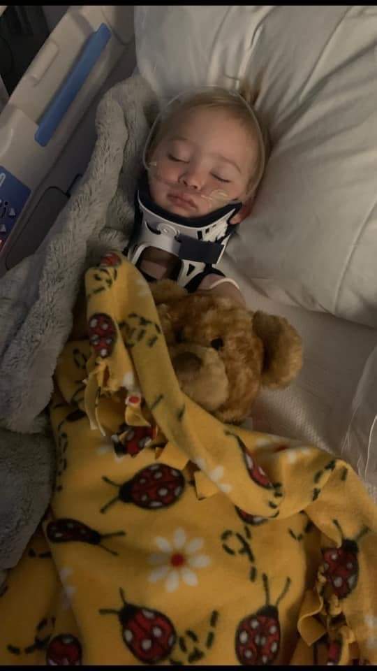 WWAPM1's tweet photo. I would like to ask for prayers for my 2 yr old grand daughter. She had an accident 3 days ago when a horse being led by her daddy fell on our sweet little angel. She hasn’t shown much improvement but she cries out in pain.Thank you so very much. https://t.co/e52jT6t2oS