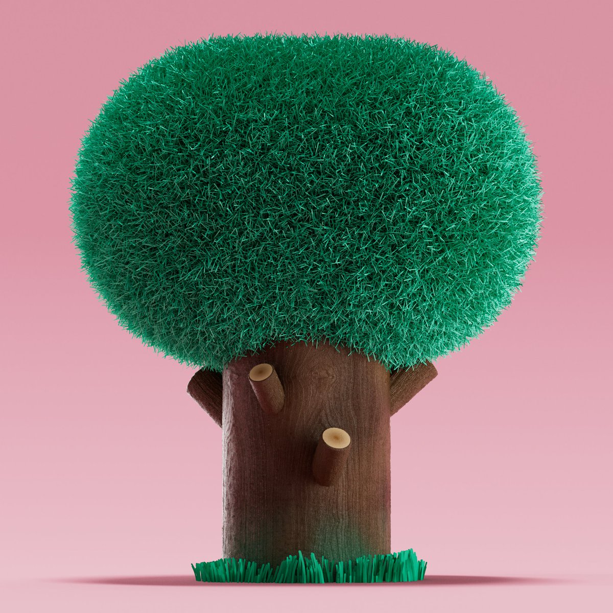 You guessed it, another tree.