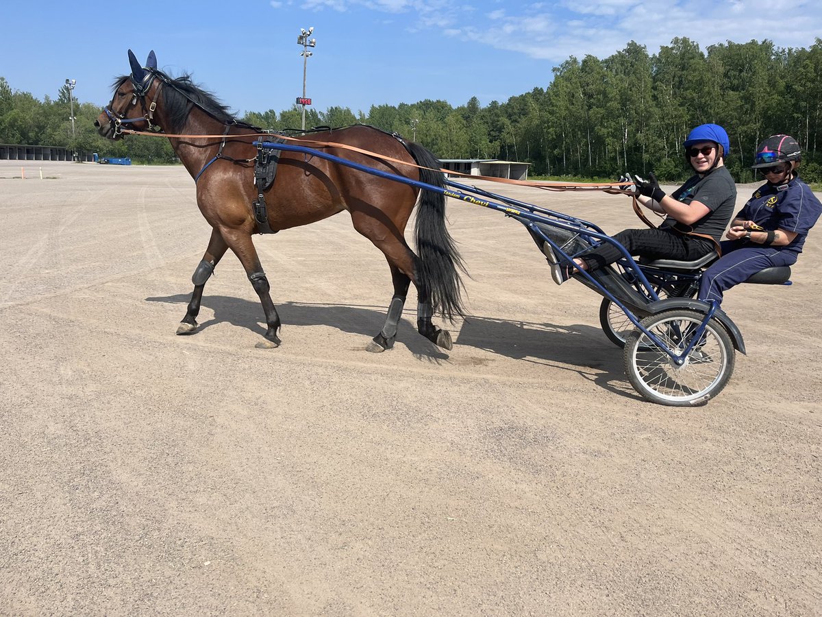 Ei ollut vaara tilanteita vaikka <a href="/VermoAreena/">Vermo Areena</a> lla tänään yhtäkkiä prässäämään rupesi <a href="/ToniSarkama/">Toni Sarkama</a>  ☀️ #ravit