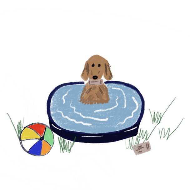 What’s your favorite way to cool off? A frozen treat OR a dip in the pool? OR both? 🐶💦 #BarkleysBag