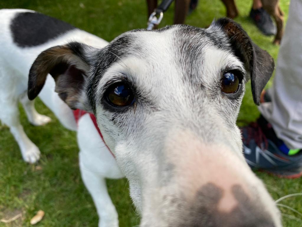 Tangent International tweet media