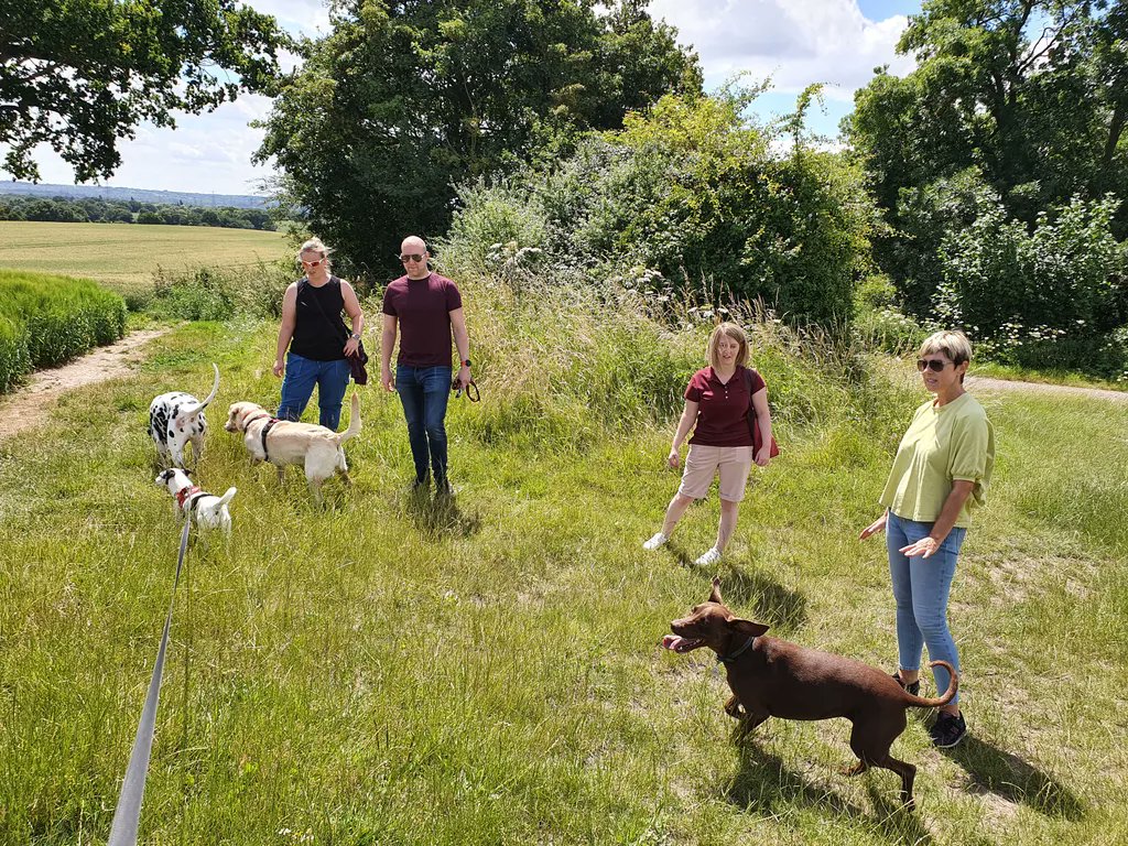 Tangent International tweet media