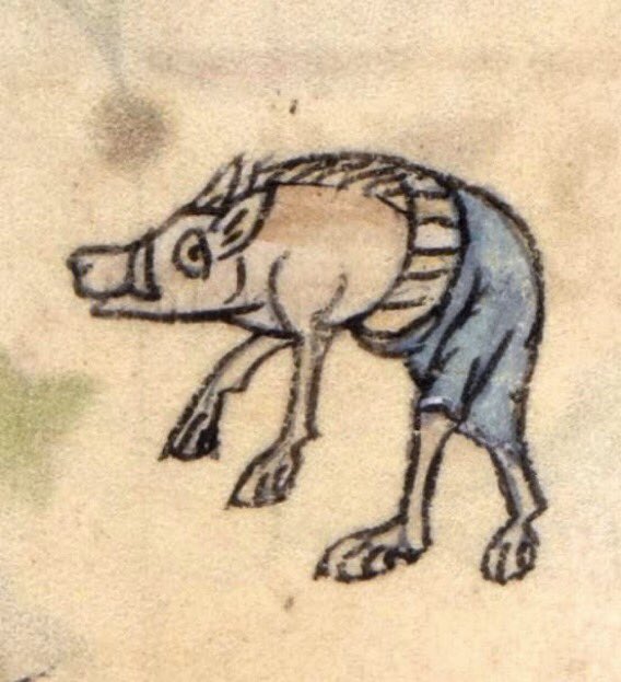 WeirdMedieval's tweet image. boar wearing pants, france, 14th century