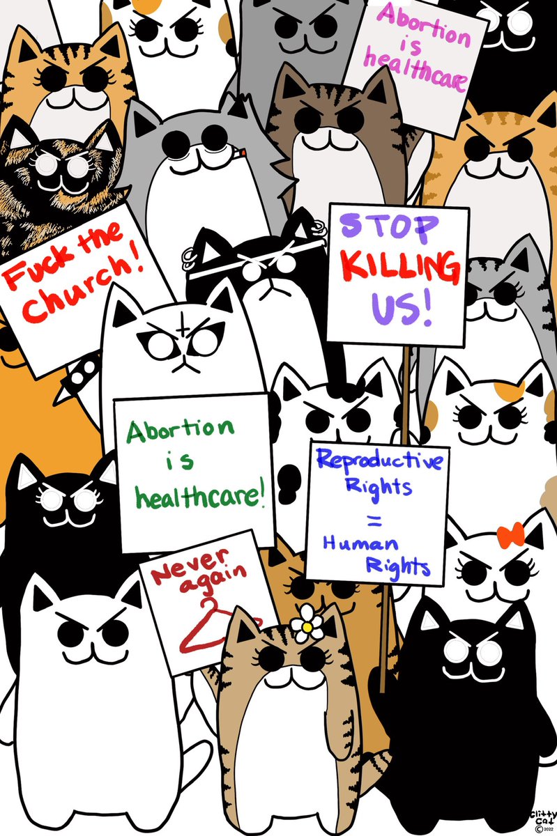Abortion is healthcare.

Buy any Clitty Cat merch, get 15% off with code ABORTIONISHEALTHCARE

I will donate all profits to National Network of Abortion Funds.

Links below.
