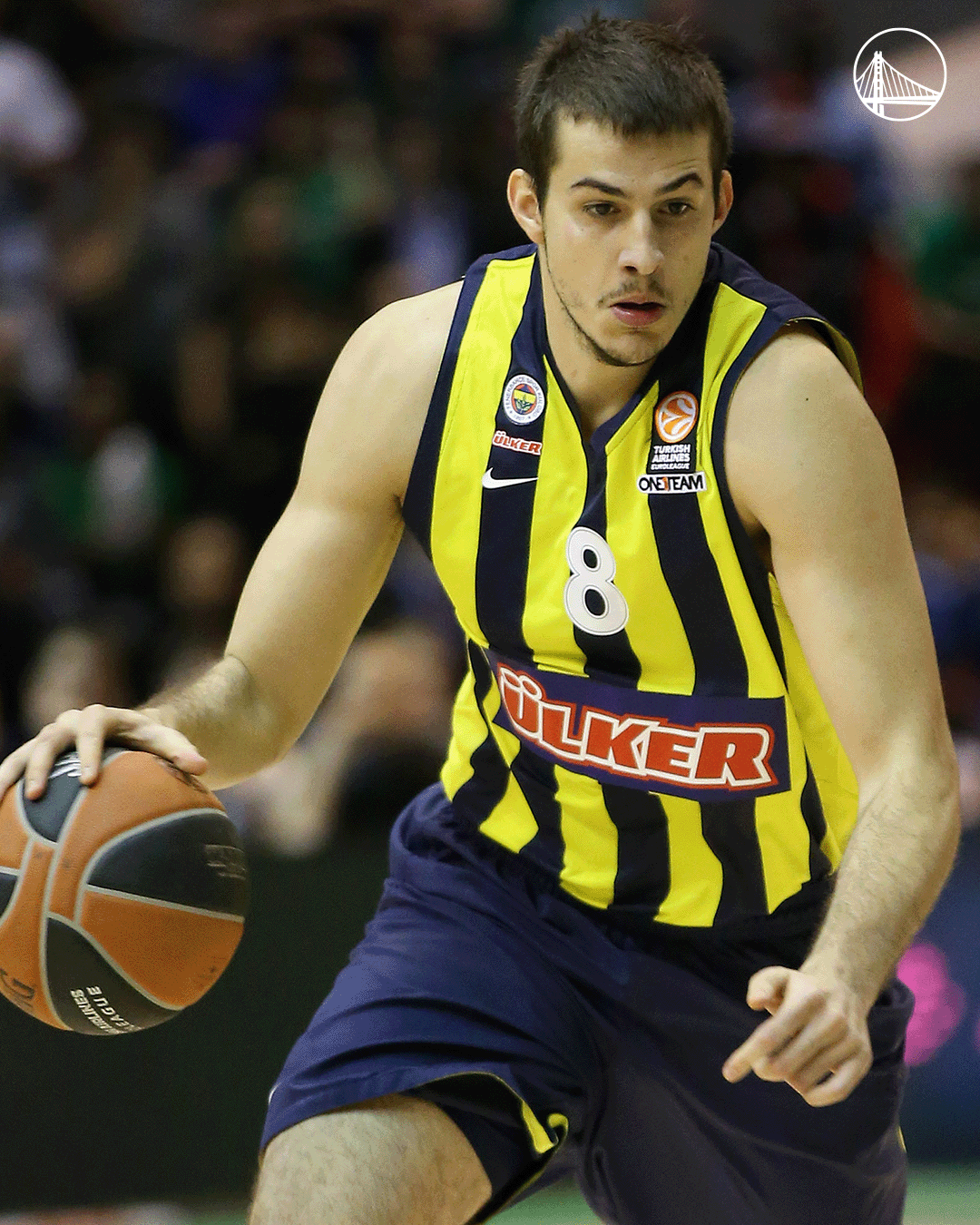 Nemanja Bjelica stats