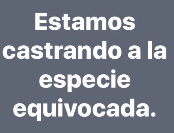 Tess Lopez tweet media