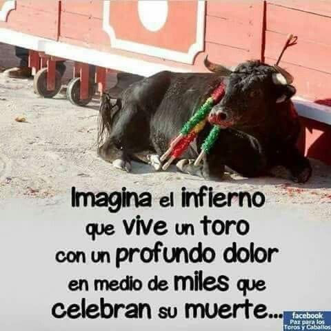 Tess Lopez tweet media