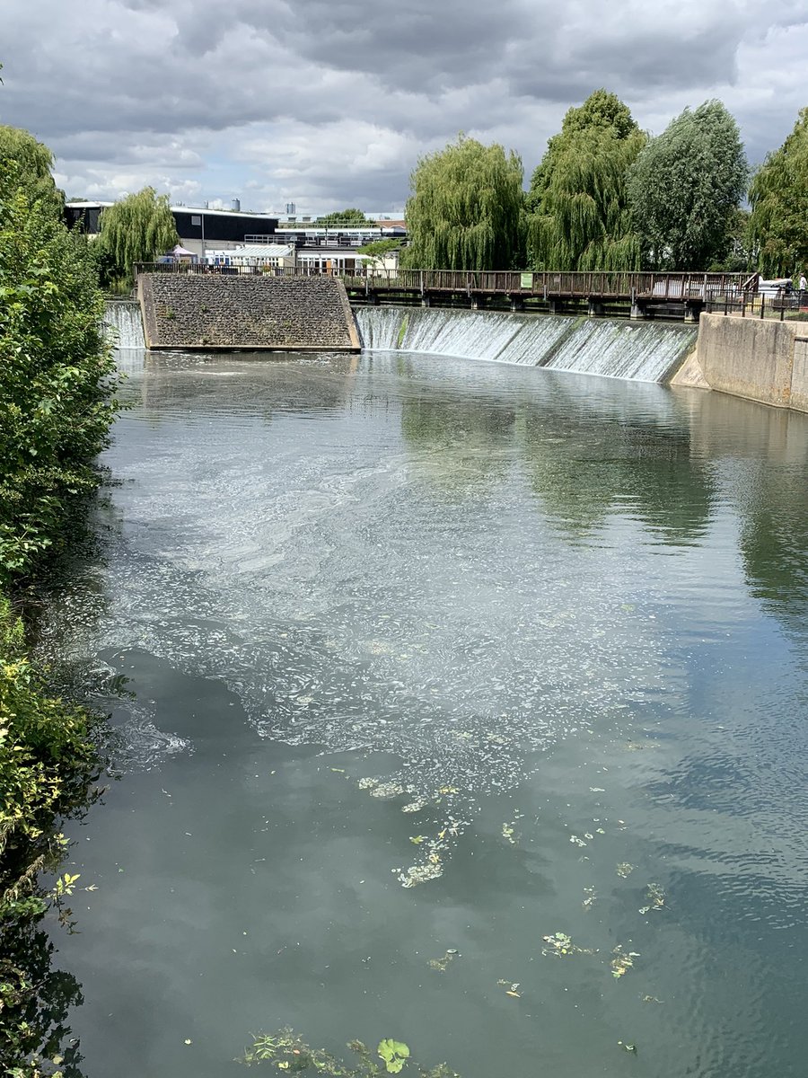 @Feargal_Sharkey @SalmonTroutCons The Lee in Ware today. You can even smell the shit.