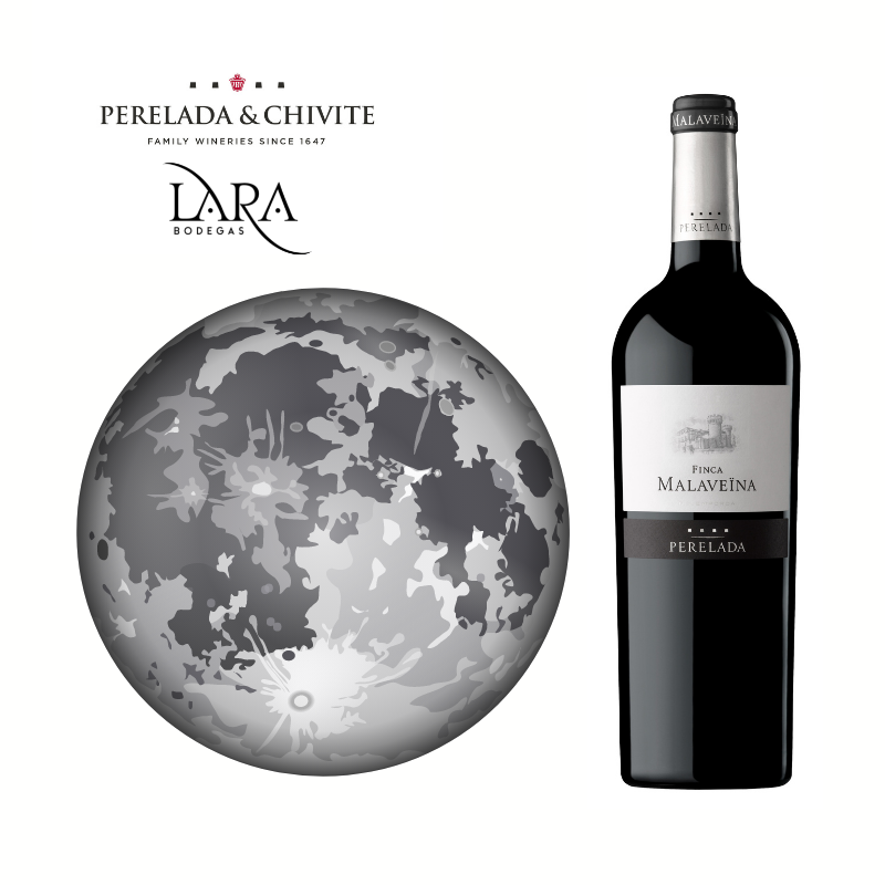 Bodegas Lara tweet media