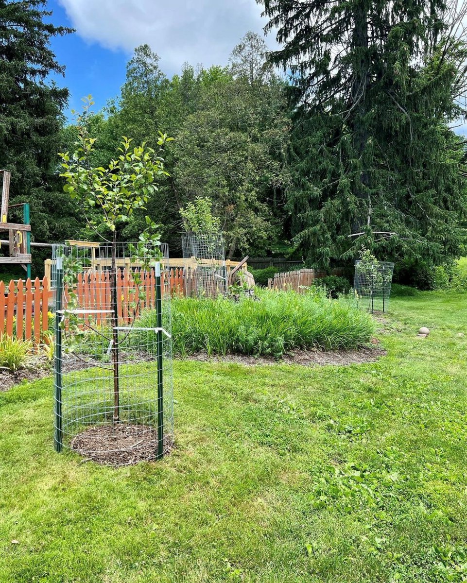 Housing4All's tweet photo. Our Doylestown Community
Garden is making progress! Thanks to our amazing
pantry staff, and the generous support of
@DTownRotary, we've planted apple trees and
vegetables with the help of the kids at our property!
πΈ credits: @lindsay_troyer
#communityfoodsystems #urbanag https://t.co/0OoiJtNrYe