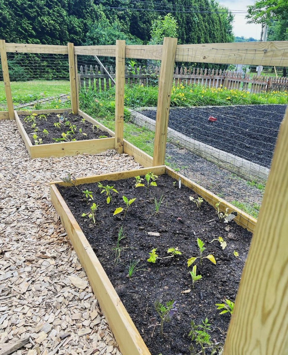 Housing4All's tweet photo. Our Doylestown Community
Garden is making progress! Thanks to our amazing
pantry staff, and the generous support of
@DTownRotary, we've planted apple trees and
vegetables with the help of the kids at our property!
πΈ credits: @lindsay_troyer
#communityfoodsystems #urbanag https://t.co/0OoiJtNrYe
