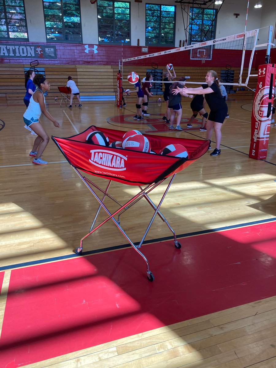 Elite Starr AA tweet media