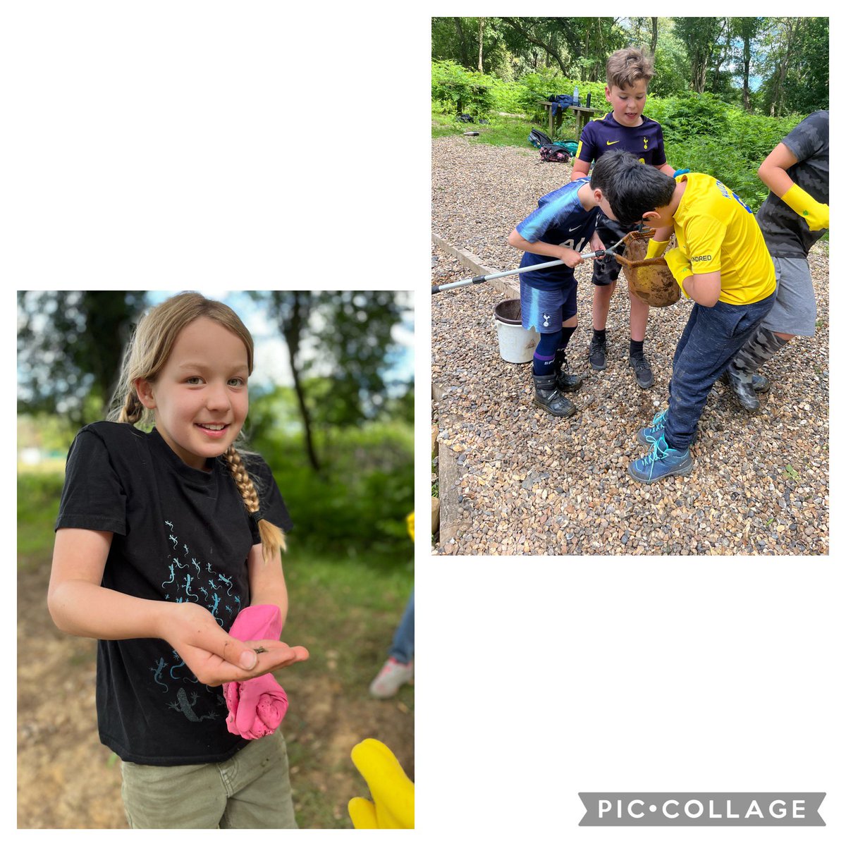 OurLady_PE's tweet photo. The last of the afternoon activities was pond dipping. We discovered lots of animals including some frogs!! 🐸 https://t.co/NN7AzGhqTu