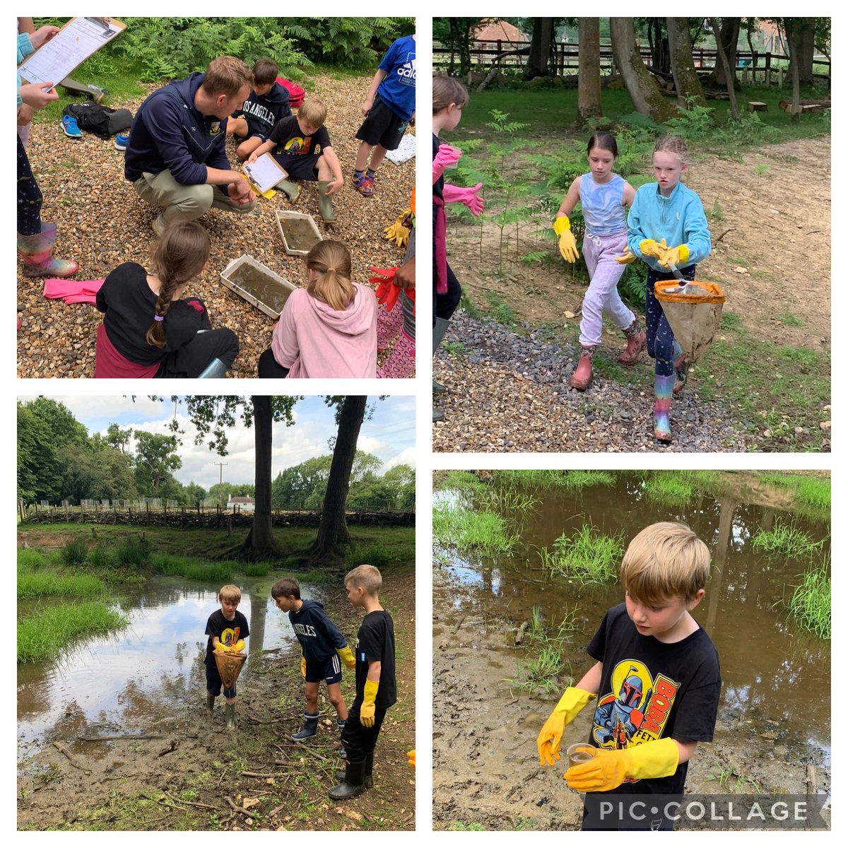 OurLady_PE's tweet photo. The last of the afternoon activities was pond dipping. We discovered lots of animals including some frogs!! 🐸 https://t.co/NN7AzGhqTu
