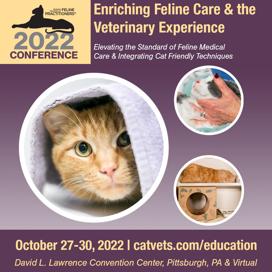 American Association of Feline Practitioners on Twitter "The AAFP