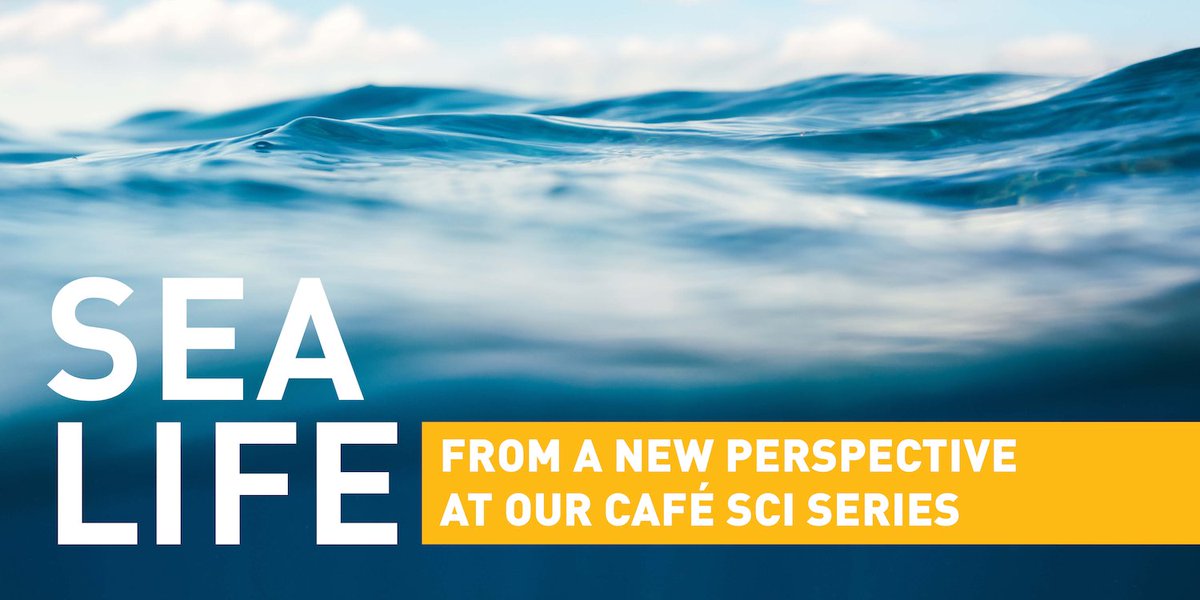 BigelowLab's tweet photo. We’re excited to welcome guests back into our East Boothbay laboratory for our annual Café Sci lectures, happening both in-person and online! Join us Tuesday nights from July 12 to August 2. Reserve your spot today! #SciArt #Science #MaineScience
https://t.co/6sIXe5o0ok https://t.co/2zzn7B5TVf