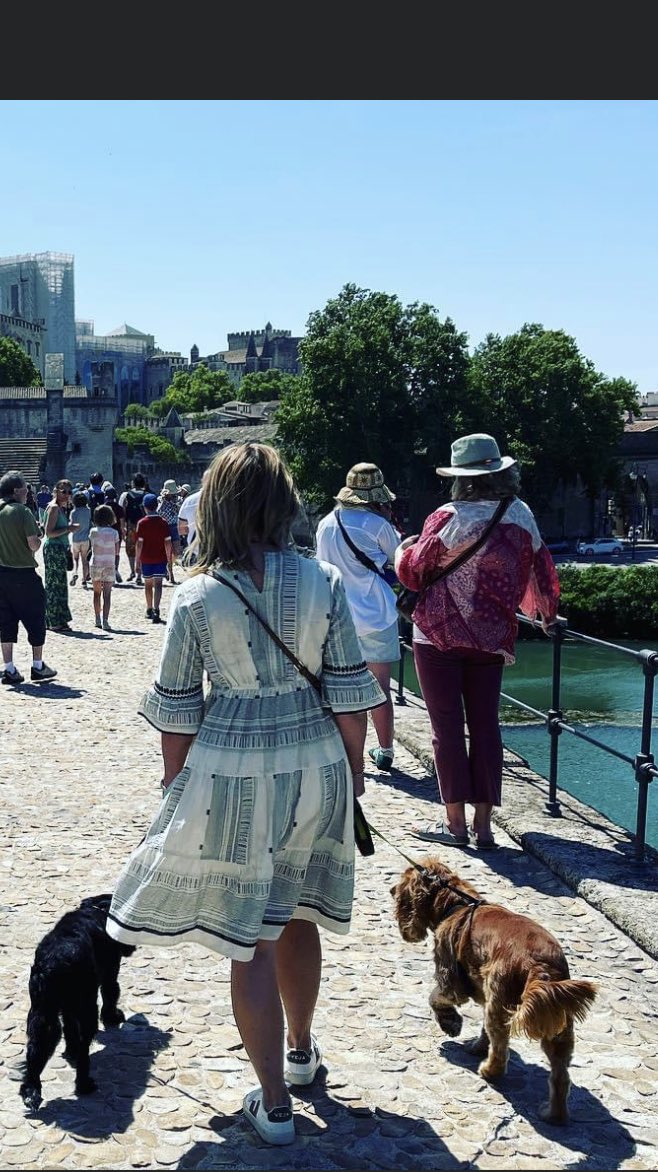 BeightonEmms's tweet image. Sur le pont d’Avignon