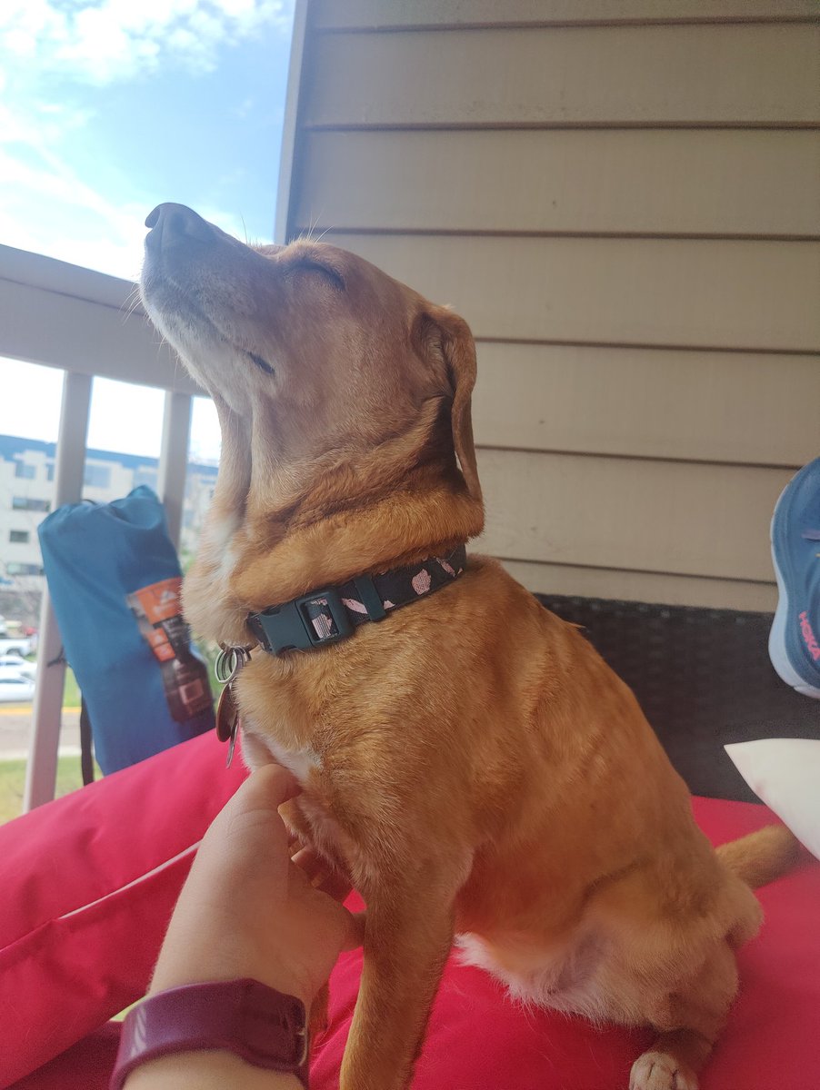 I sure do love chest scratchies