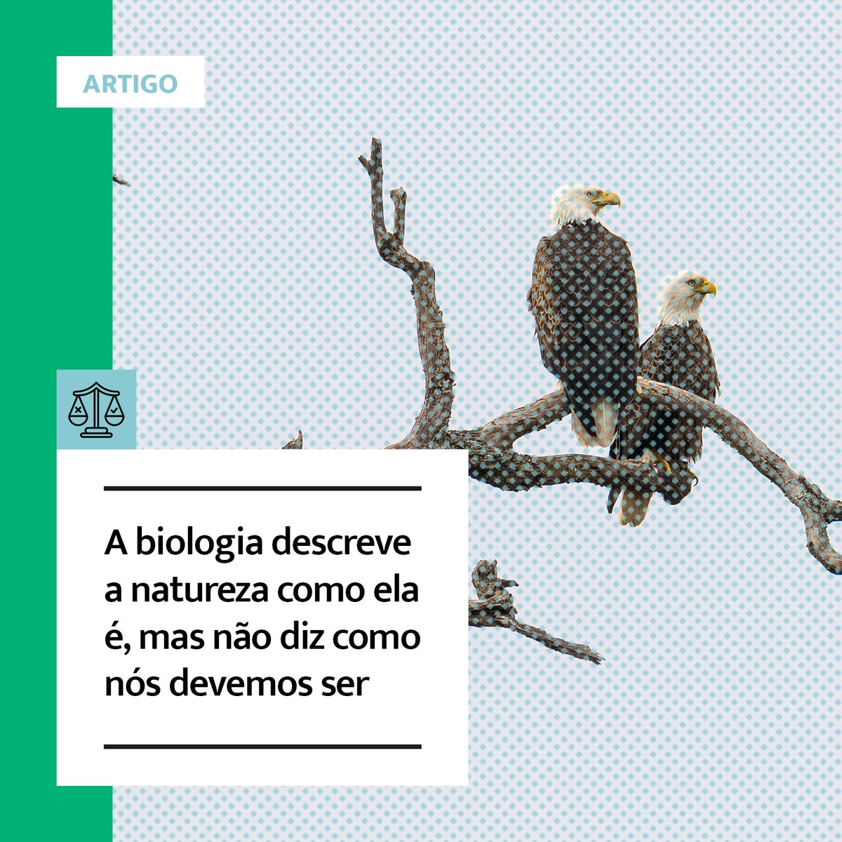 iqciencia's tweet photo. Existem pássaros monogâmicos, bonobos bissexuais, formigas escravagistas e mães panda que abandonam seus bebês. Mas é uma falácia pensar que qualquer um desses comportamentos têm a ver com a moral e ética humanas. O biólogo Daniel Lahr explica na RQC:  
https://t.co/S6DW2Lc3OI https://t.co/rRXFUiaM4m