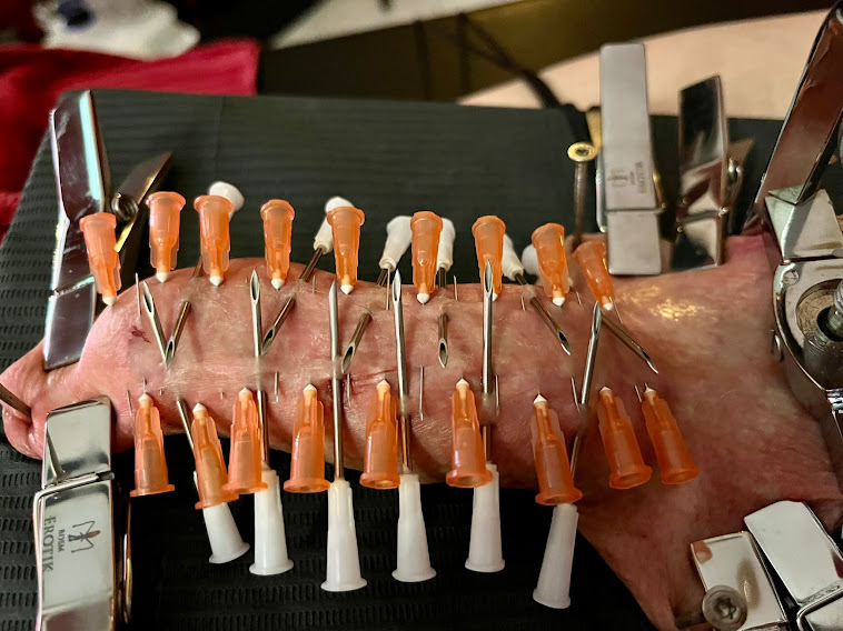 MasochistCBT's tweet photo. Another outstanding session with @LadyHera_CH Thank you Mistress! #cbt #cocktorture #balltorture #klinik #needle #wax #bdsm #Mistress #Herrin #maso https://t.co/mZ0IeN7Rsa