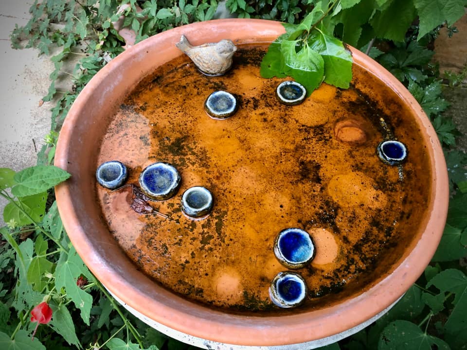 MassPests's tweet photo. When it's this hot outside, a mosquito can go from living in this bird bath to biting your arm in as little as 1 week! Freshening up that bird bath weekly prevents mosquitoes, and your local birds will appreciate it, too! #TipItTuesday https://t.co/K4RMHxT0Zx