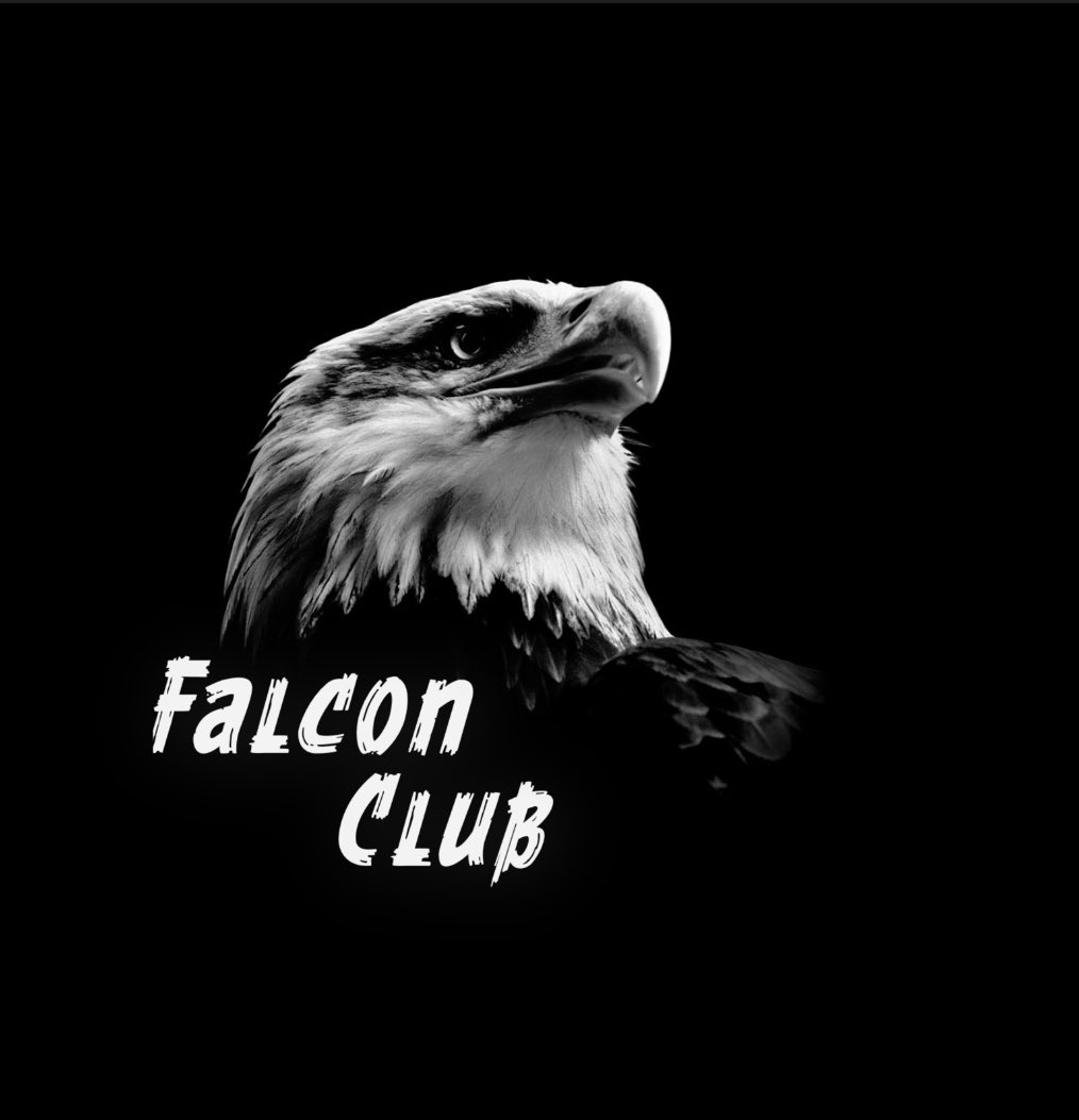 shamdarkstar's tweet photo. @Falcon_research 🫶🏻 https://t.co/9ZcWMD6z1e