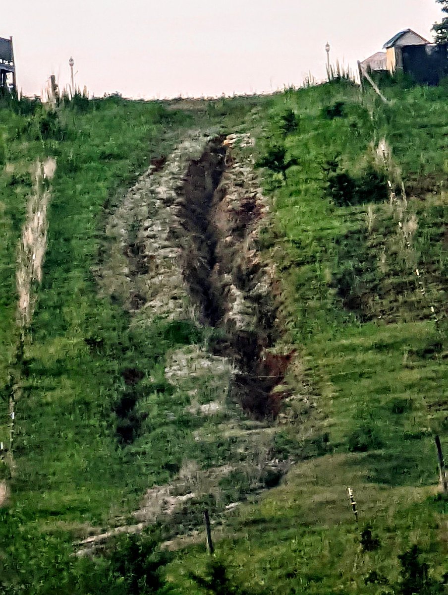 MissCarey4life's tweet photo. This "was" someone's driveway. Now the house is abandoned for obvious reasons. 🤦🏼♀️ This hurts me on a design level so much!
#deaignsgonewrong
#designdisaster https://t.co/RrzT3nzuIx