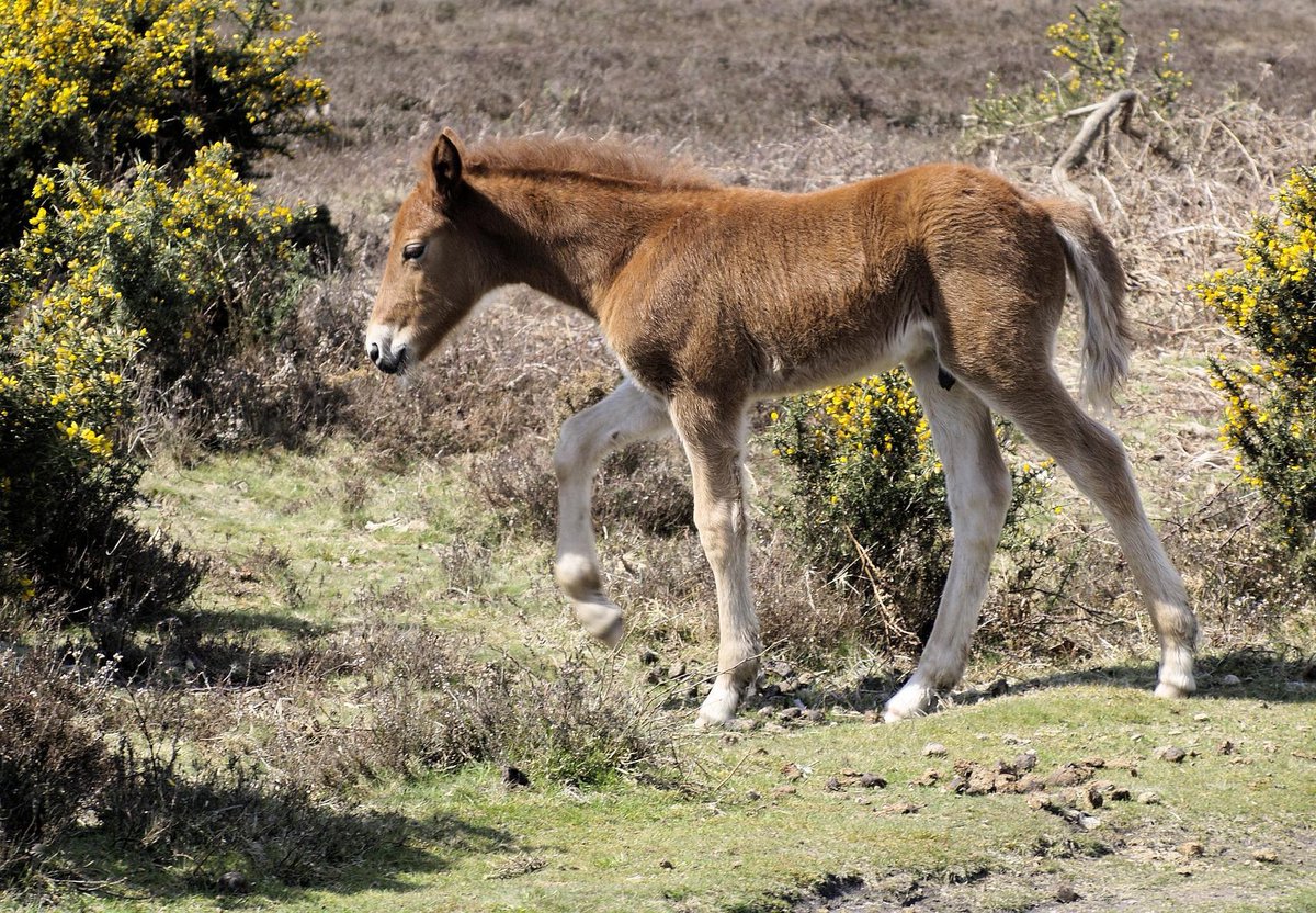 Lovely to spend some time with students at Arnewood School and Sixth Form this week talking about next steps and future careers. Working Together - Shaping Tomorrow.
<a href="/arnewoodsixth/">Arnewood Sixth Form</a> 
@solentlep 
#Skills #TogetherStronger #NewForest