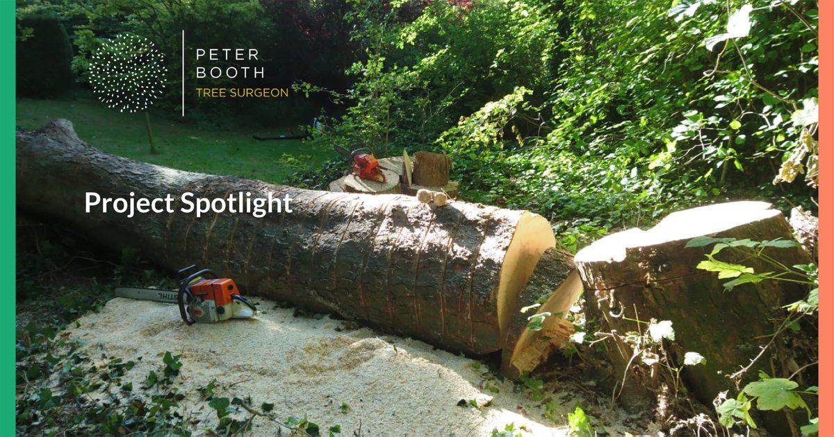 yandasoftware's tweet photo. We built local Tree Surgeon Peter Booth a compact one-page site with all the information a potential customer would be looking for.

Visit the site https://t.co/rPDBDLX5zW

#treesurgery #nature #countryside #wiltshire #webdesign #webdevelopment #cms #marketingagency #Salisbury https://t.co/3rmuElqJvc
