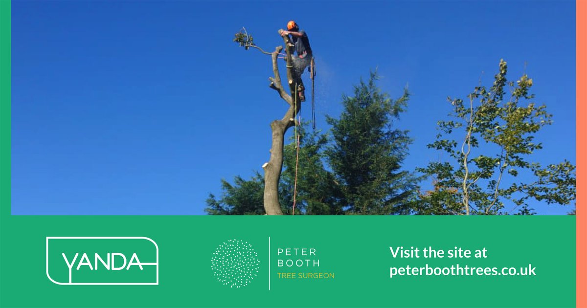 We built local Tree Surgeon Peter Booth a compact one-page site with all the information a potential customer would be looking for.

Visit the site peterboothtrees.co.uk

#treesurgery #nature #countryside #wiltshire #webdesign #webdevelopment #cms #marketingagency #Salisbury