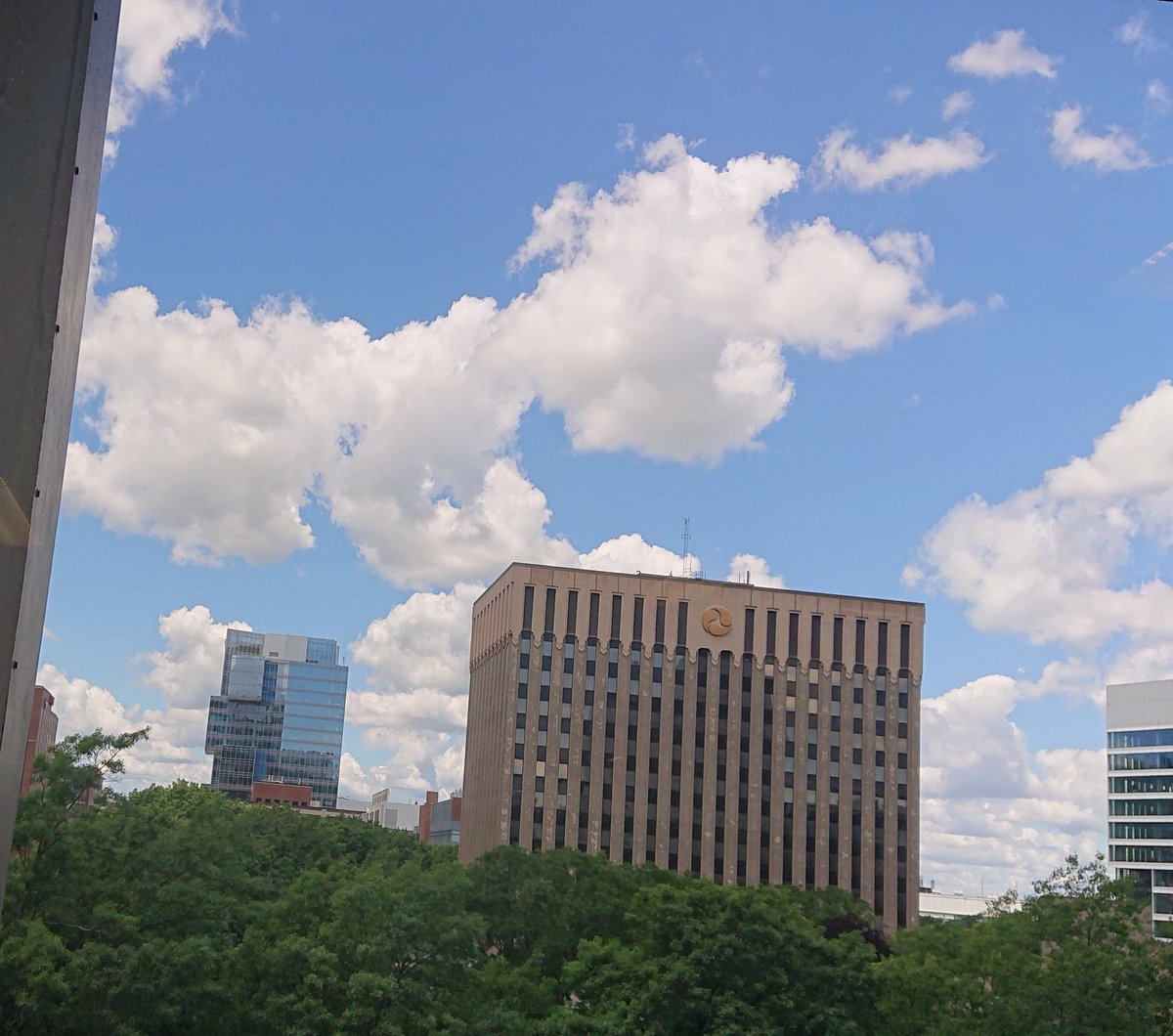 Is it me, or do even the clouds over the  Cambridge MA biotech cluster look like antibodies?!