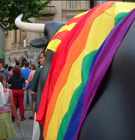 Estima com vulguis, amb #orgull