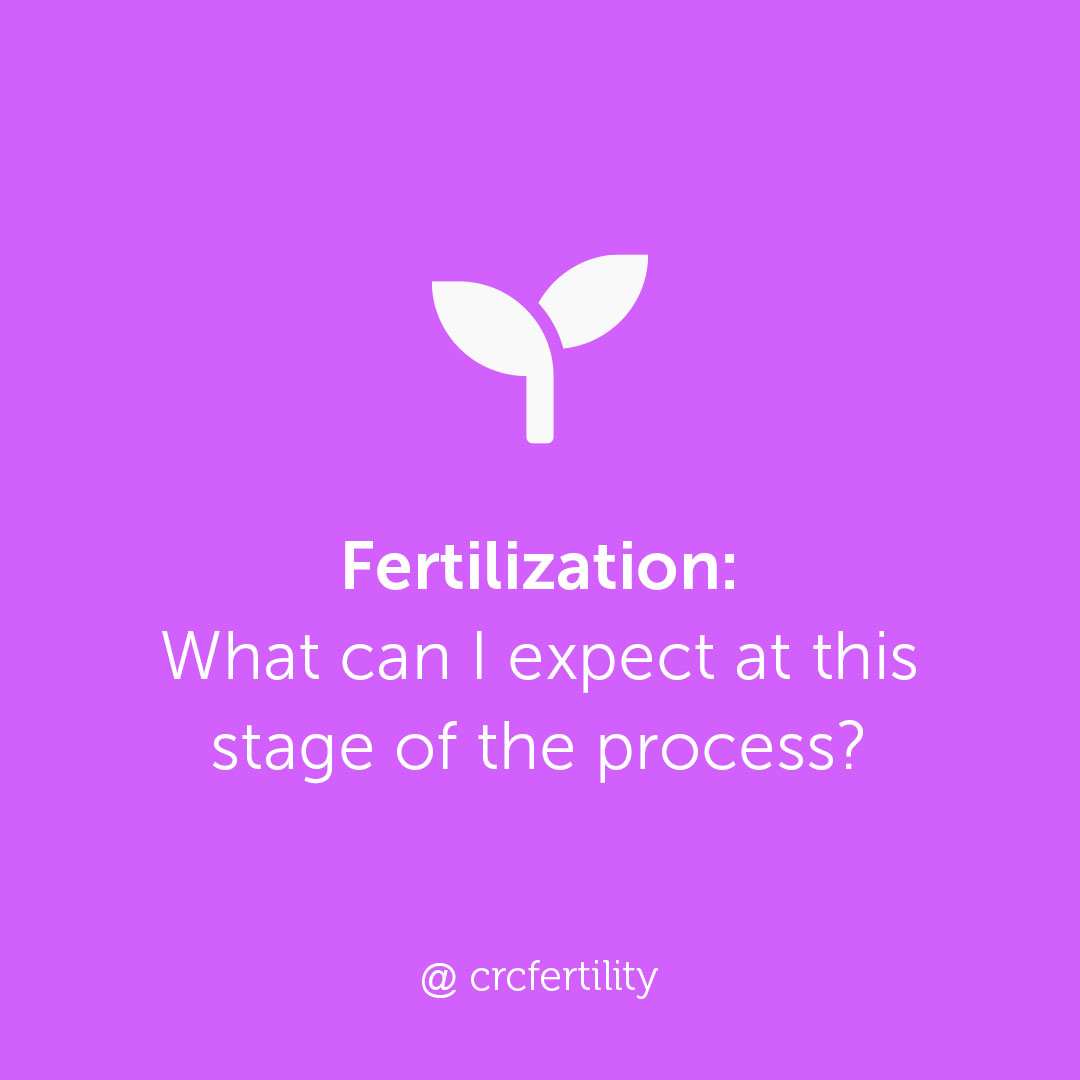 crcfertility's tweet photo. Fertilization is the stage along your IVF journey where all the magic happens. ✨

Egg, meet Sperm. 🤝

Once the fertilization process is complete, you have your embryo!

#ivf #fertilization #ttc #ivfjourney #stagesofIVF https://t.co/K0uvTpskPs