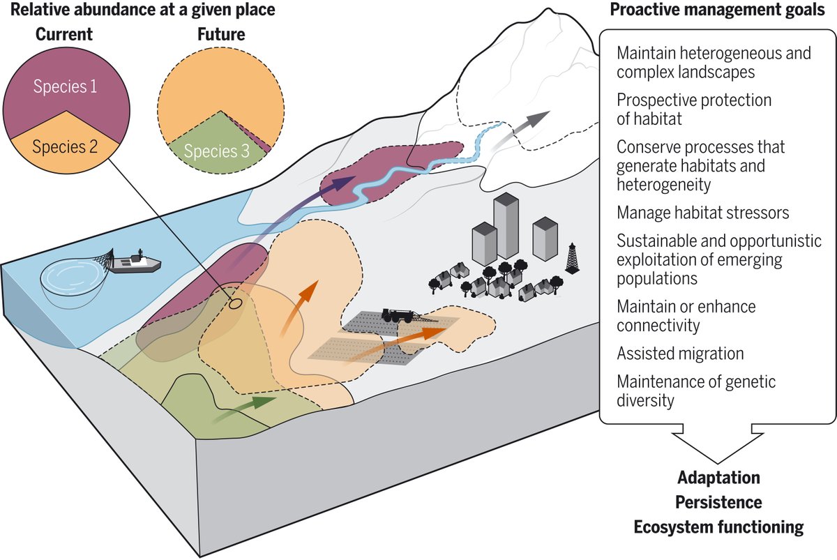 A new #ScienceReview underscores the need to develop proactive conservation strategies to bolster ecological resilience to #ClimateChange. fcld.ly/0b33s6c