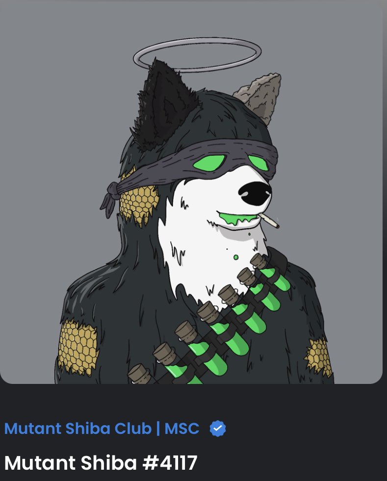 lowkeytruths1's tweet photo. @MutantShibaClub #MSC swept this high ranked (1692) off the floor, first snipe@of the day! #sweep #ndts #nft https://t.co/D6hPuJMiRO