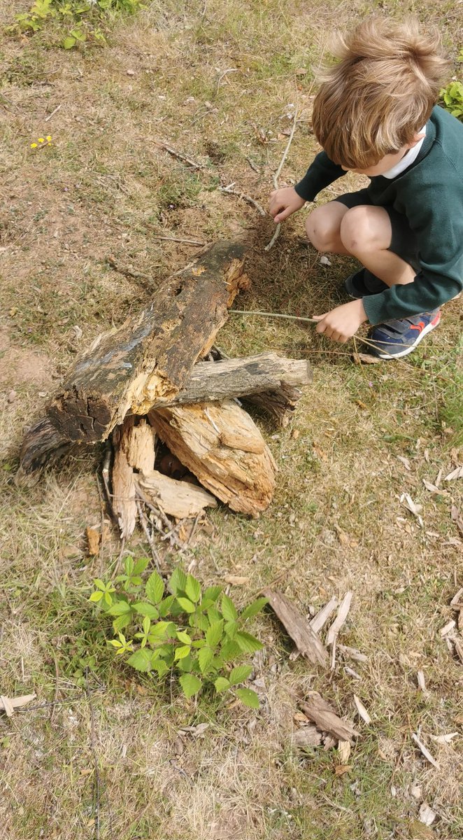 dragonfliesHTPS's tweet photo. Today we've been weather watchers, bird spotters, bug hunters and den builders! What a busy day Brandon Marsh! @meerkatsclass1 @WillowsCE https://t.co/XFeSN4X2ak