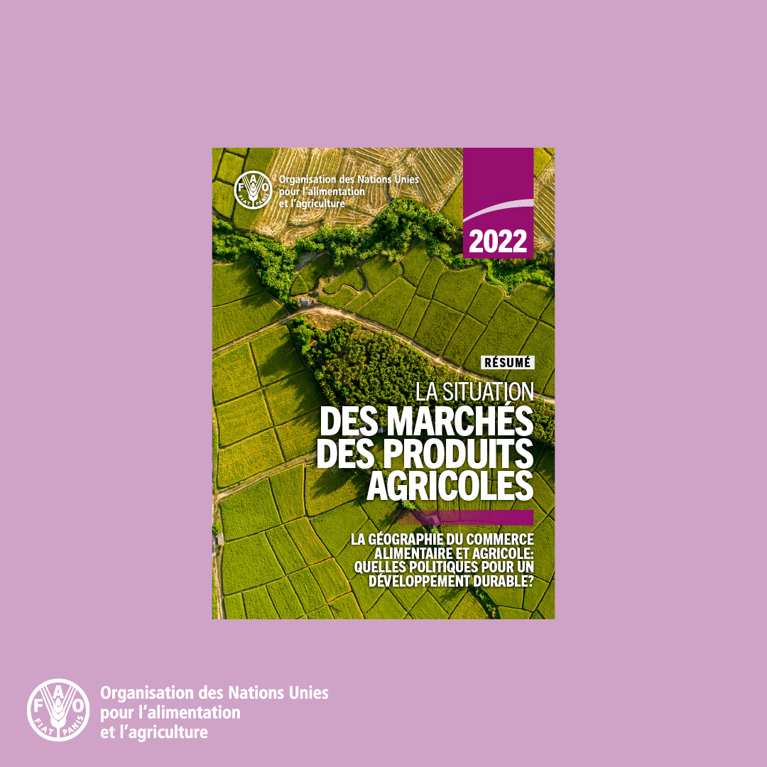 FAOenFrancais's tweet photo. Le commerce agricole international peut contribuer à la #sécuritéalimentaire et à une alimentation saine.

Comment les accords commerciaux multilatéraux et régionaux facilitent la mise en place de systèmes agroalimentaires plus durables👉https://t.co/ShYLiwLcJn

#SOCO2022 https://t.co/xiGs1f7hH9