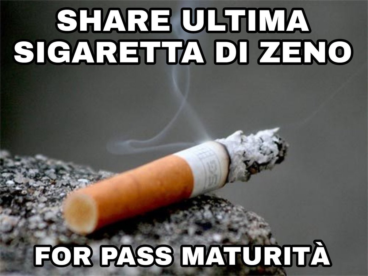 porcsdue's tweet photo. dopo l’orale chiamo zeno per farmi dare il numero del suo psicanalista e farmi delle belle sedute #maturita2022 https://t.co/ielOMTFhNm