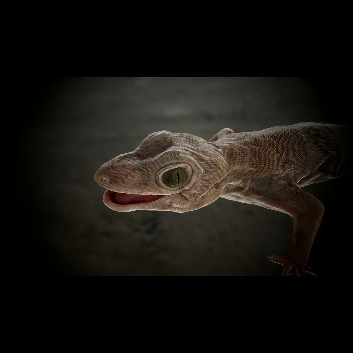 SenSouren's tweet photo. Asian House Gecko

@TheRookiesCO 
@ArtStationHQ 
@Substance3D 
@marmosetco 
@threecolonist 
@pixologic 

#3dart #3DCG #reptile #lizard #gecko #creaturedesign #nature #wildlifephotography #DigitalArtist #texture #zbrush #Rookies #artstation #gamedesign #conceptart https://t.co/SgU7kHTEMS